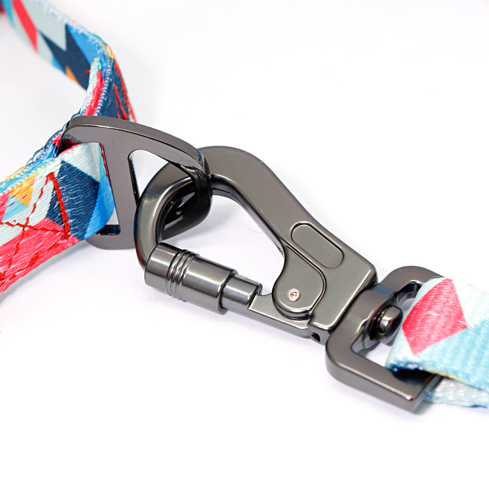 Neu collection Hundehalsband im Set